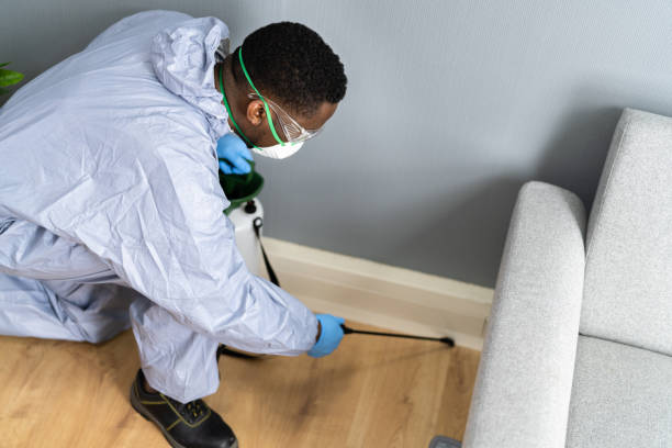 Best Termite Inspection and Treatment  in Westfield, NJ